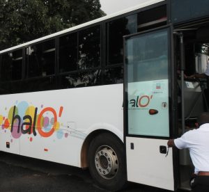 Bus Halo Matis