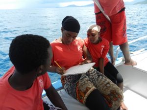 Le travail d'identification des l'ensemble des Tursiops du lagon de Mayotte