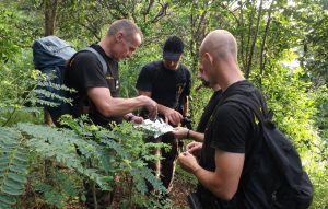 Quelle stratégie pour retrouver des migrants dans la forêt?