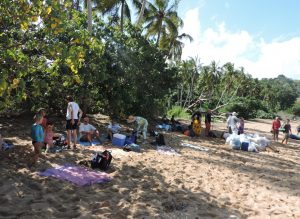 Fête de la nature sur la plage de Moutsoumbatsou fréquentée la nuit par les tortues et les braconniers