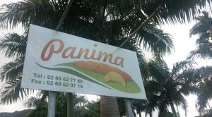 Panima