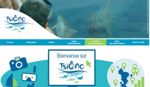 Tsiono