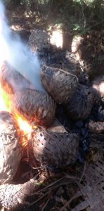 Charbonnage illégal : destruction d'une charbonnière en juillet 2015