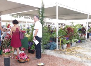 Plantes salon agriculture fleurs