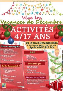 Activités Pamandzi