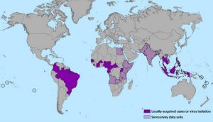  Le virus Zika dans le monde En mauve les pays avec des cas avérés en achuré les zones où des cas suspects incitent à des recherches poussées (Source: OMS)
