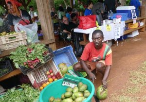 Le marché paysan de Coconi samedi