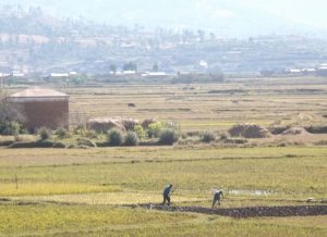 Les petits agriculteurs qui exploitent ces terres parfois depuis des décennies pourraient en devenir les propriétaires
