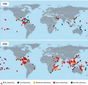 Evolution du blanchiment des coraux. En rouge, les blanchiments sévères observés (Source: Marshall)