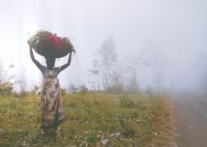 Porteuse de fruits dans la brume