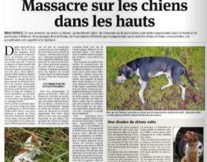 JIR 23 2 16 Massacre sur les chiens