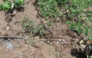 État du raccordement en eau potable