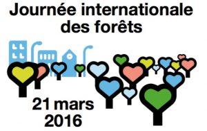 Journée internationale des forêts