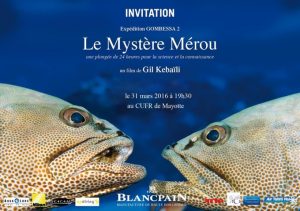 Mérou mystère