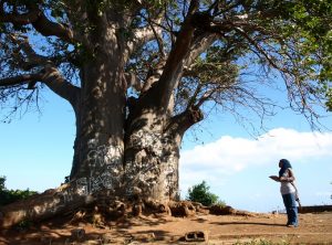 Recensement des arbres remarquables: Nous avons tous des arbres qui nous tiennent à cœur (Image: Les Naturalistes)