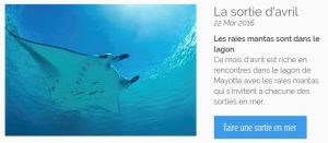 La sortie d'avril mise en avant par le site: la découverte des raies mantas