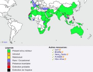 Répartition des sternes voyageuses dans le monde. Mayotte est un site d'importance mondiale