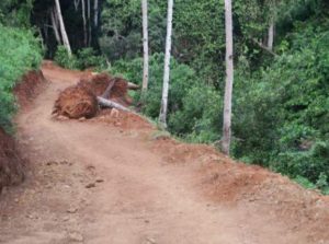 Une piste sauvage le long de la Gouloué (Photo: les Naturalistes de Mayotte)