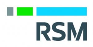 RSM Audit