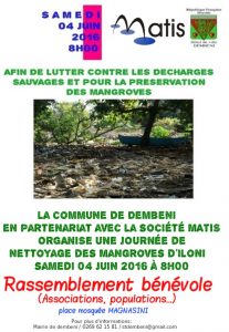 Nettoyage de la mangrove d'Iloni