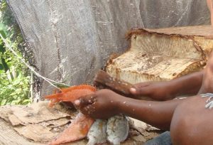 90% des poissons sont vendus au bord des routes ou dans les villages