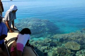Et s'ils devenaient des "P'tits foundis du lagon"? (Image: PNM)