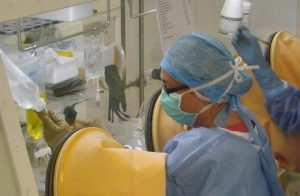 Des poches pour nourir les petits patients qui ne peuvent pas s'alimenter autrement