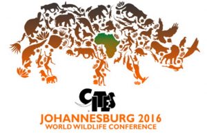 cites-johannesburg