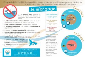 pnm-conference-nouveaux-arrivants-2016-la-plaquette-dinformations