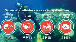 Valeur des écosystèmes coralliens à Mayotte (Source: IFRECOR)