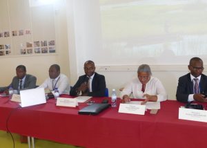 Les rapporteurs