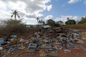 Un sentiment d'impunité lors de la destruction de la nature