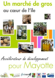 Le MIN de Mayotte: Le projet porté par l'Ucoopam