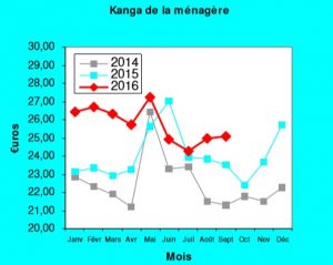 Le "kanga de la ménagère" de la DAAF pour le mois de septembre 2016