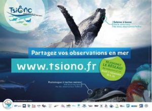 tsiono