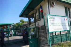 La fiente a été enelvé, mais les policiers montent la garde devant la DAAF, dans une odeur pestilentielle 