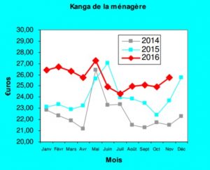 Kanga de la ménagère en novembre: bien plus cher que la normale