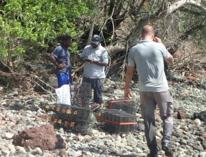 Mbouzi: Opération annuelle de dératisation sur l'îlot (Photo: les Naturalistes)