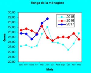 Kanga de la ménagère de la Daaf en juin 2017