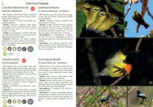 Un exemple de mise en page du guide de terrain que souhaitent réaliser Rémy et Oliver (Image: Ulule)
