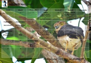 Le programme du GEPOMAY pur le mois d'août