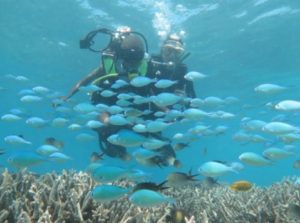 Dans le lagon de Mayotte (Photo: Bruno Garel/gence française de la biodiversité)