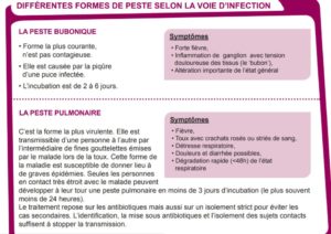 Les deux formes de peste présentes à Madagascar