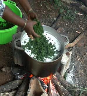 comité de transformation agricole, Julien Denormandie, Sébastien Lecornu, Mayotte