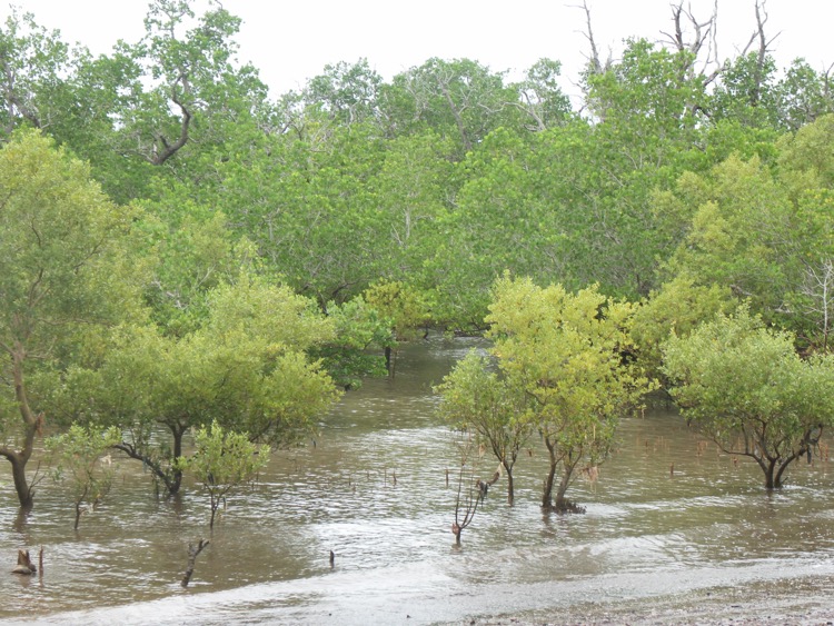 Parc Marin, Mayotte