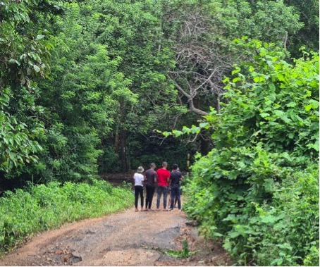 Ville Vie Vacances Solidarité International, PSL, Afrique du sud, Mayotte