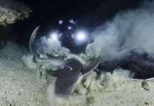 Gabriel Barathier, Mayotte, grotte,