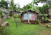 Journées européennes du patrimoine, Mayotte