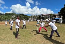 Job dating, Mayotte, Pôle emploi, Cadres d'avenir,