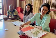 Schéma d'aménagement régional, SAR, ZAN, Mayotte